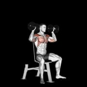 לחיצת כתפיים